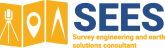 SEES Consulting Firm website Logo